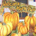 Harvest party props