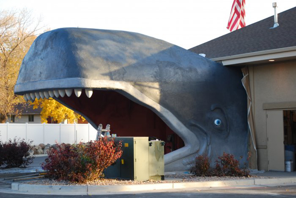Whale Car Wash Structure